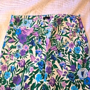Talbots Women’s Chatham Ankle Pant Size 14 Blue & Purple Floral Print